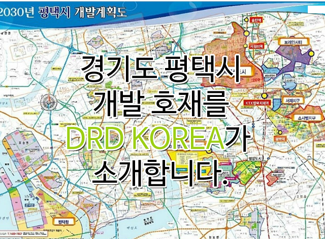 DRD코리아소개